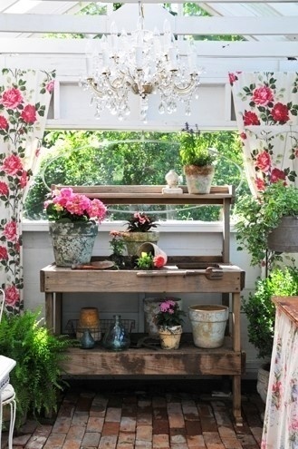 室内风水植物化煞怎么选择